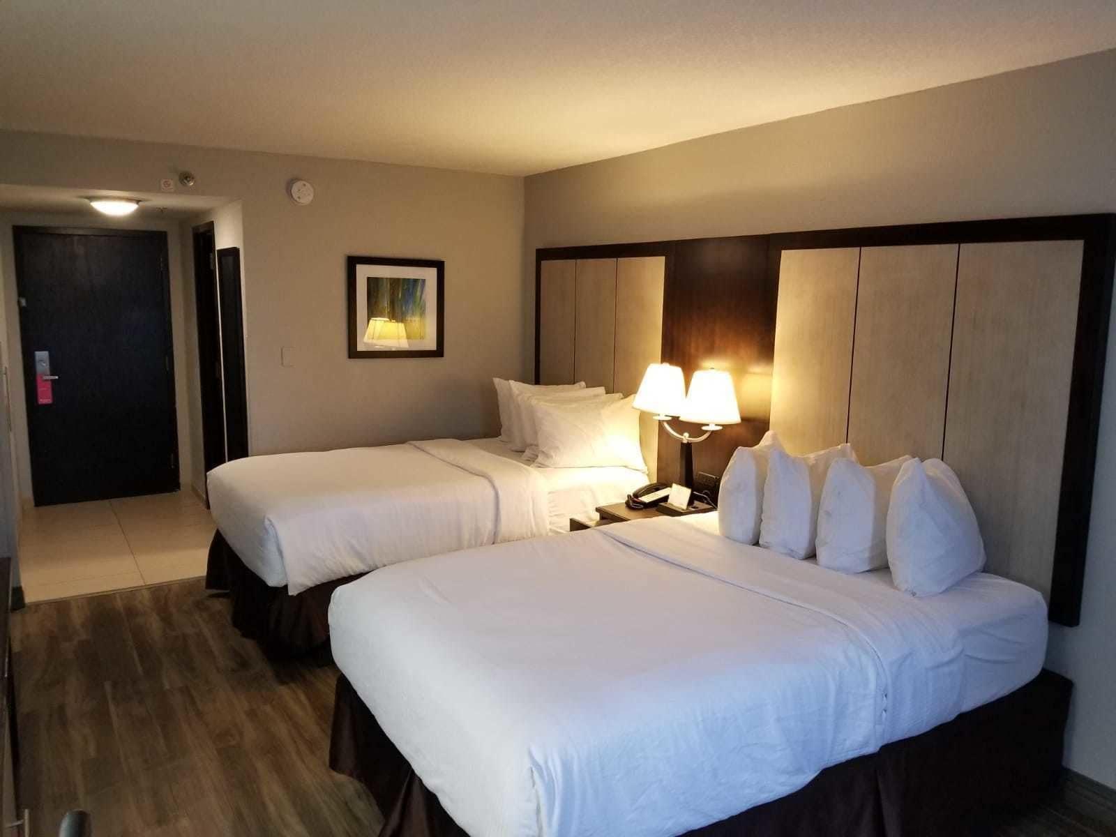Wyndham Garden Hotel - Jacksonville Eksteriør bilde