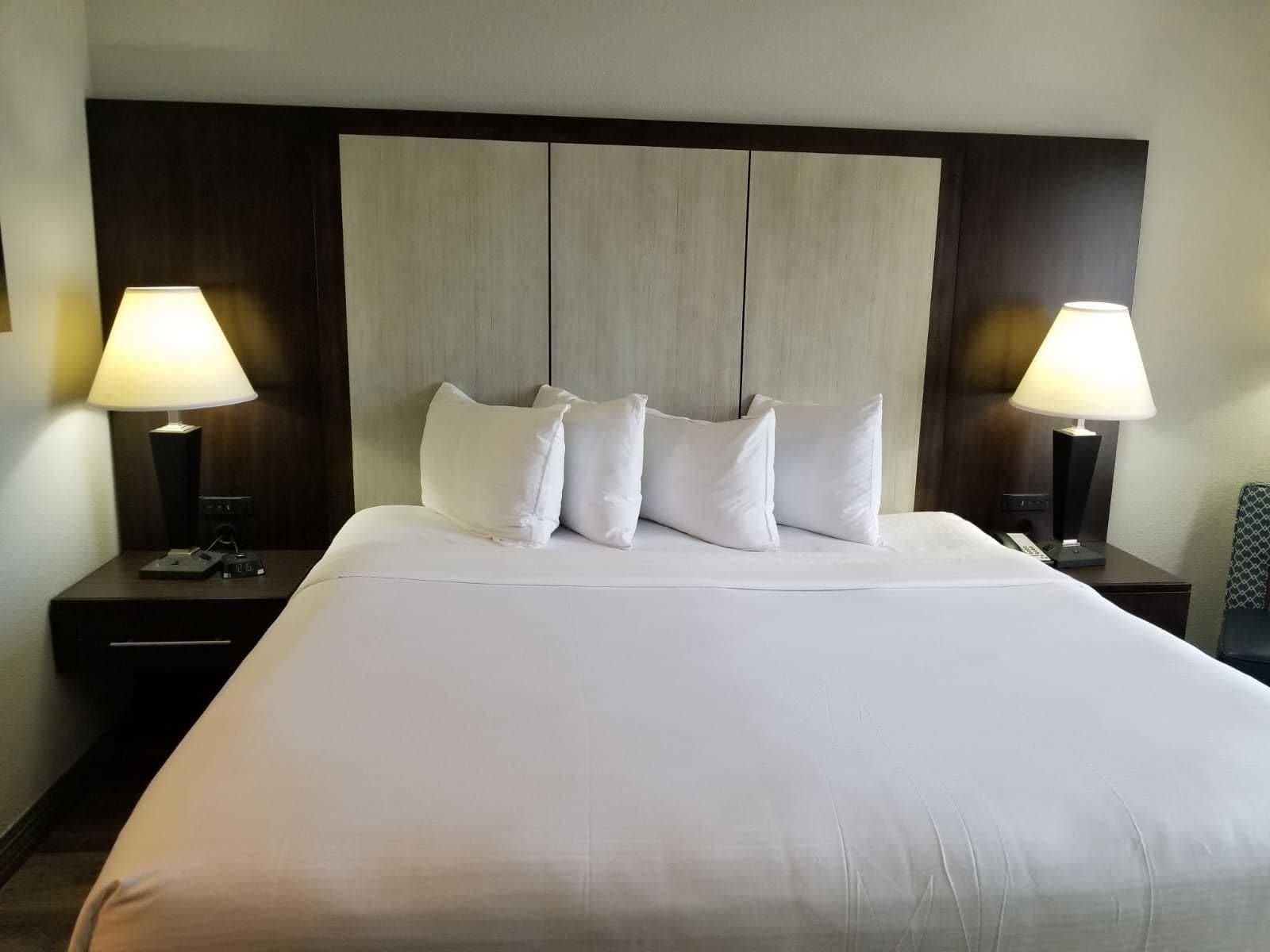 Wyndham Garden Hotel - Jacksonville Eksteriør bilde