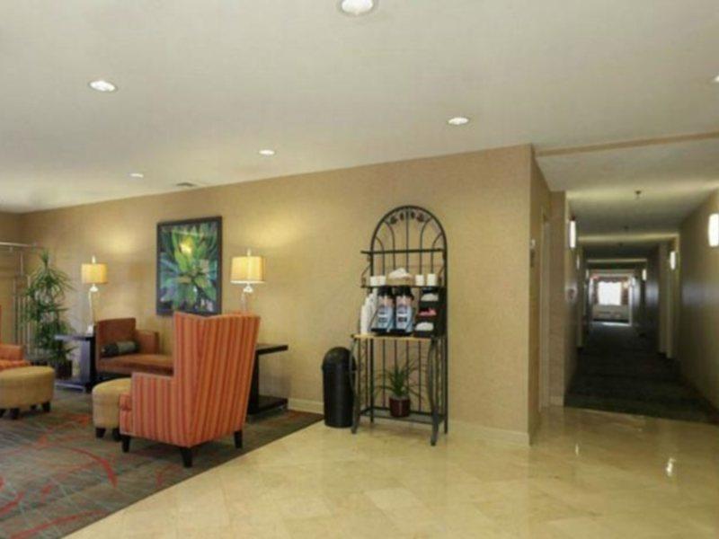 Wyndham Garden Hotel - Jacksonville Eksteriør bilde